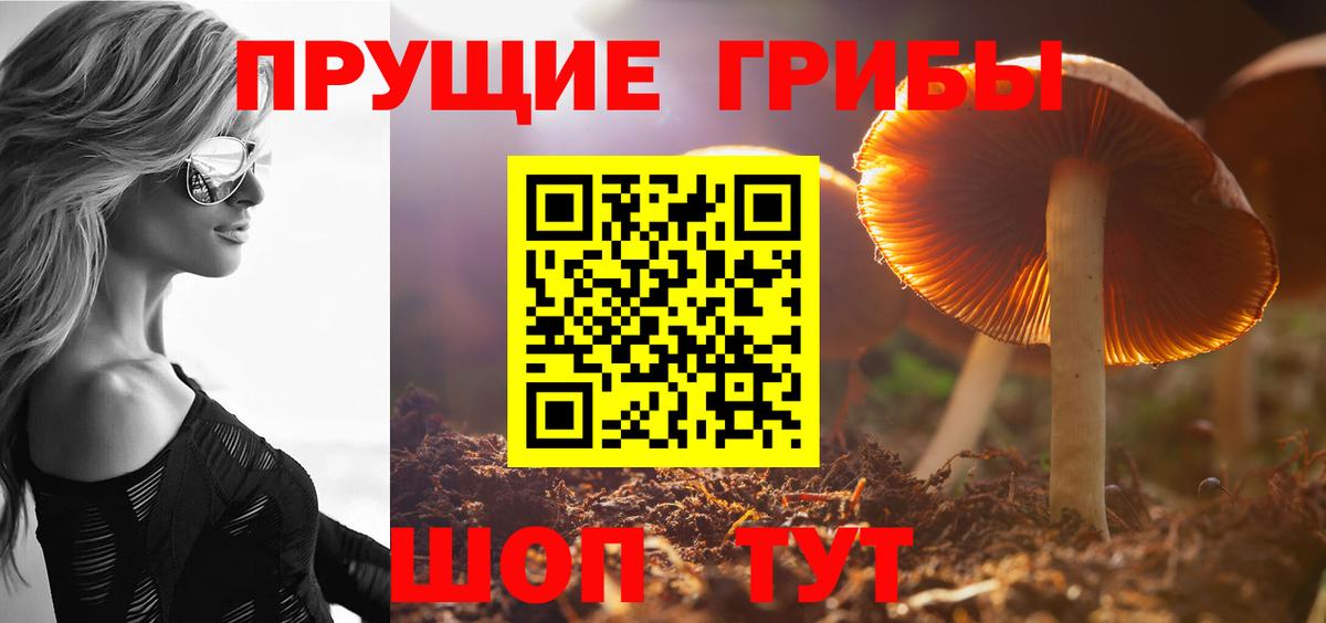 Галлюциногенные грибы GOLDEN TEACHER  где продают   Советск  Вход с VPN  Галлюциногенные грибы мухоморы 